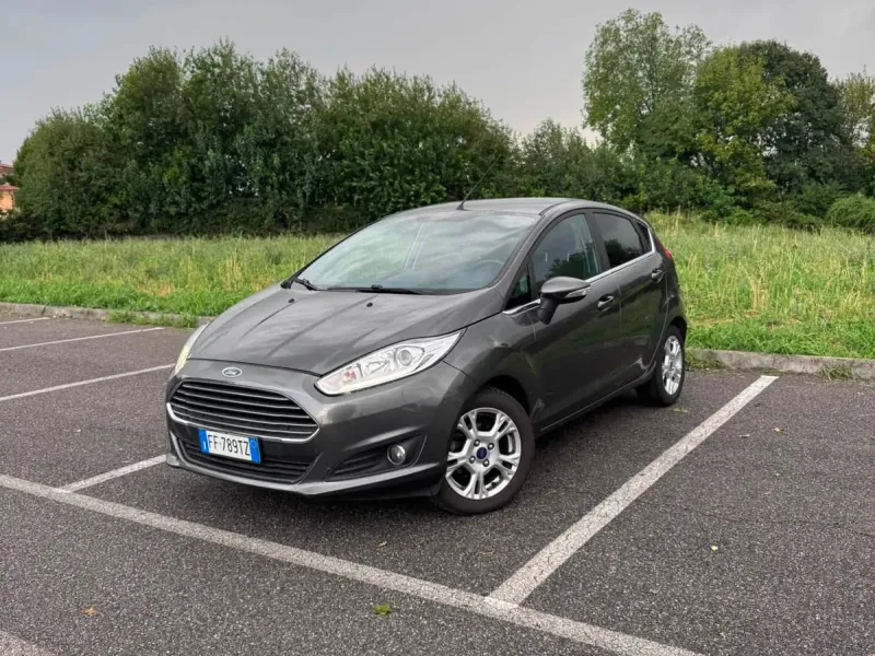 Ford Fiesta 1.5 TDCi 75 CV 5 porte ST-Line, colore grigio