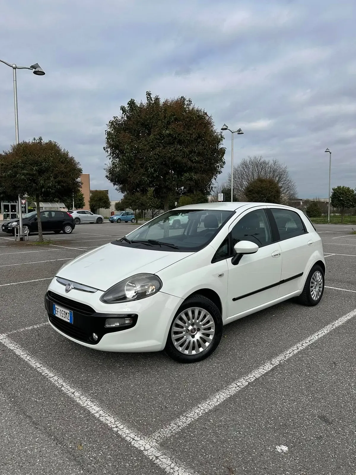 Fiat Punto Evo 1.2 5 porte Dynamic, foto 1 di 11