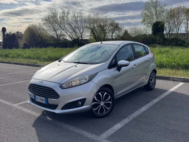 Ford Fiesta 1.5 TDCi 75 CV 5 porte Titanium, colore argento
