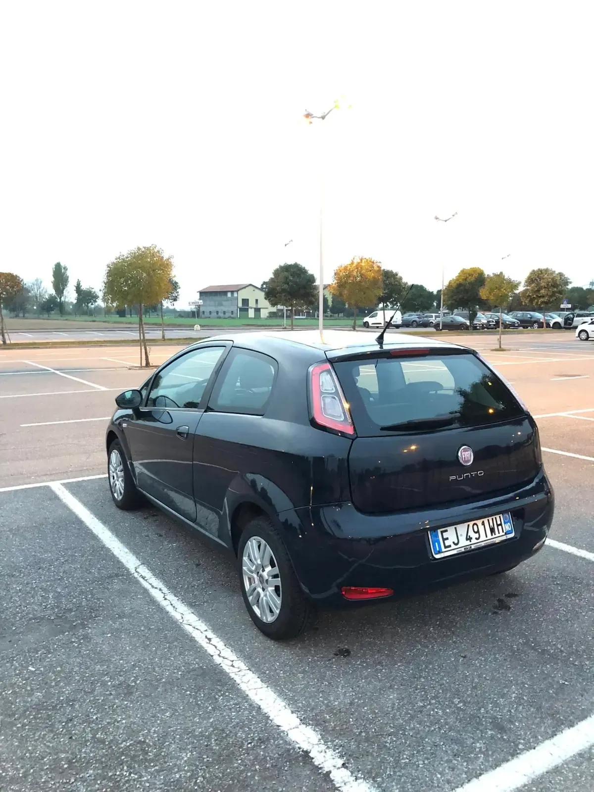 Fiat Punto 1.2 Easy, foto 2 di 8