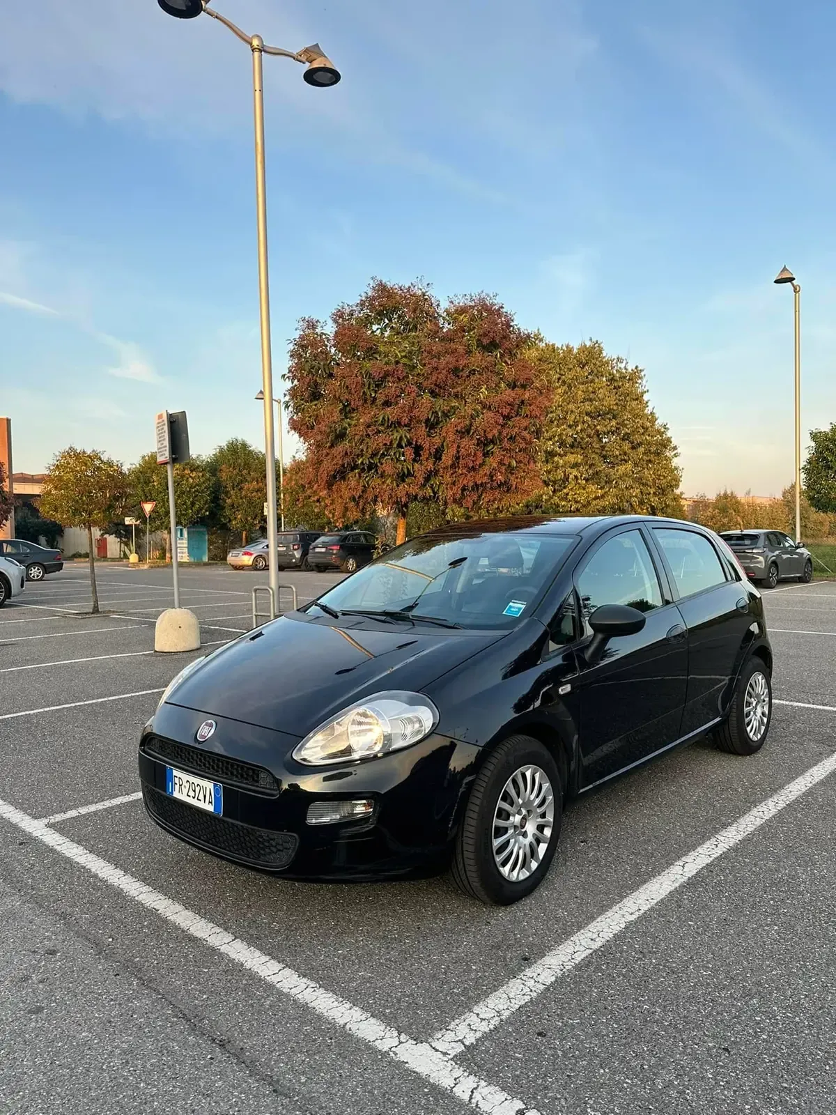 Fiat Punto 1.2 Street, foto 3 di 11