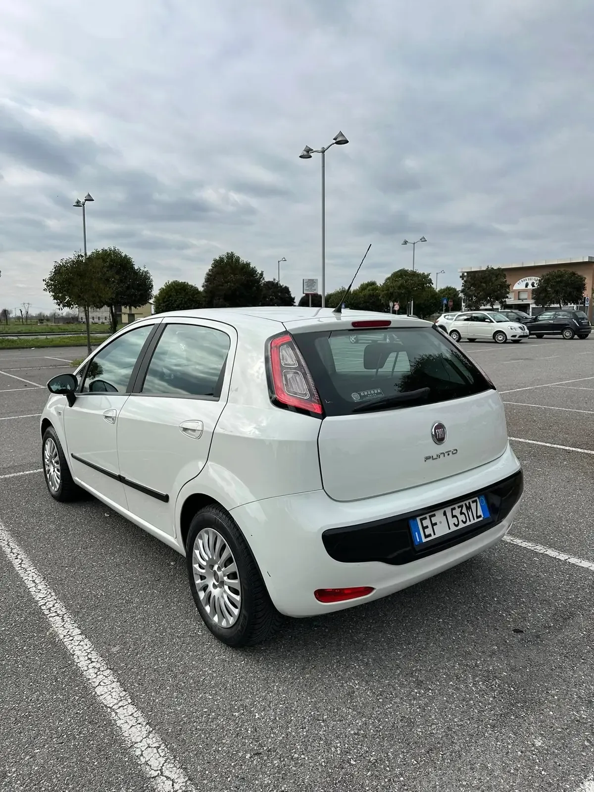 Fiat Punto Evo 1.2 5 porte Dynamic, foto 6 di 11