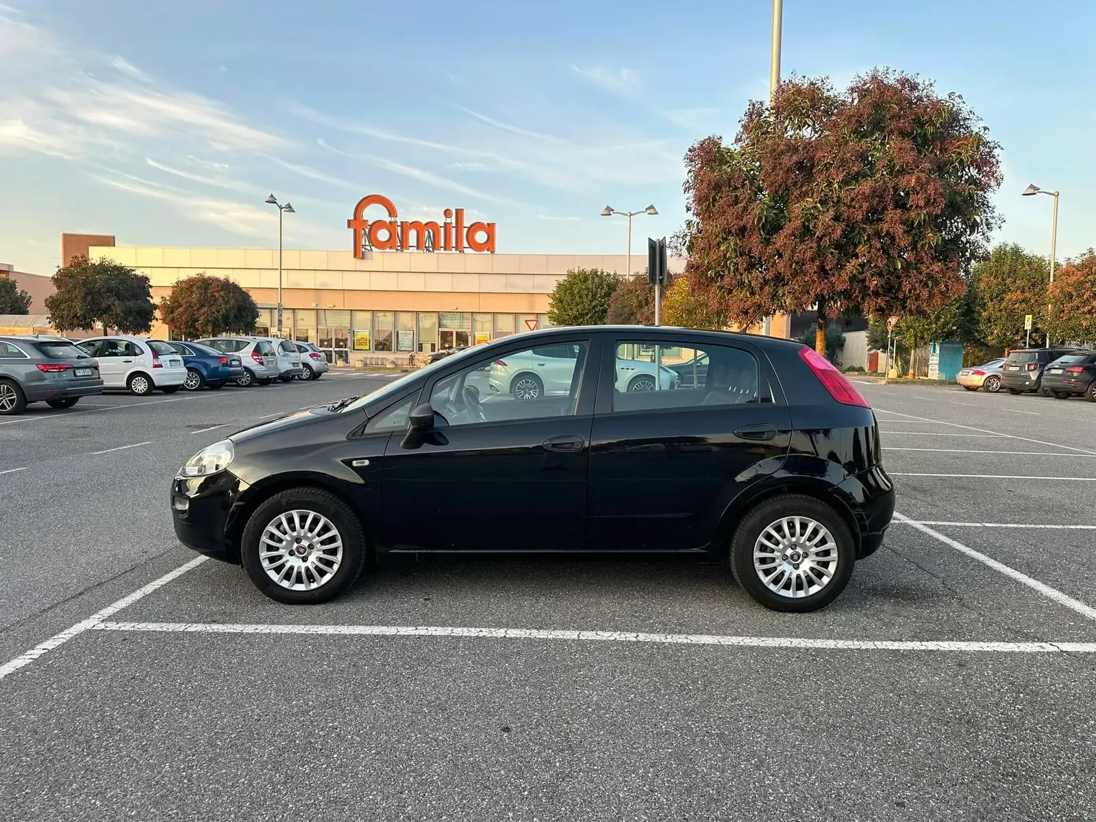 Fiat Punto 1.2 Street, foto 6 di 11
