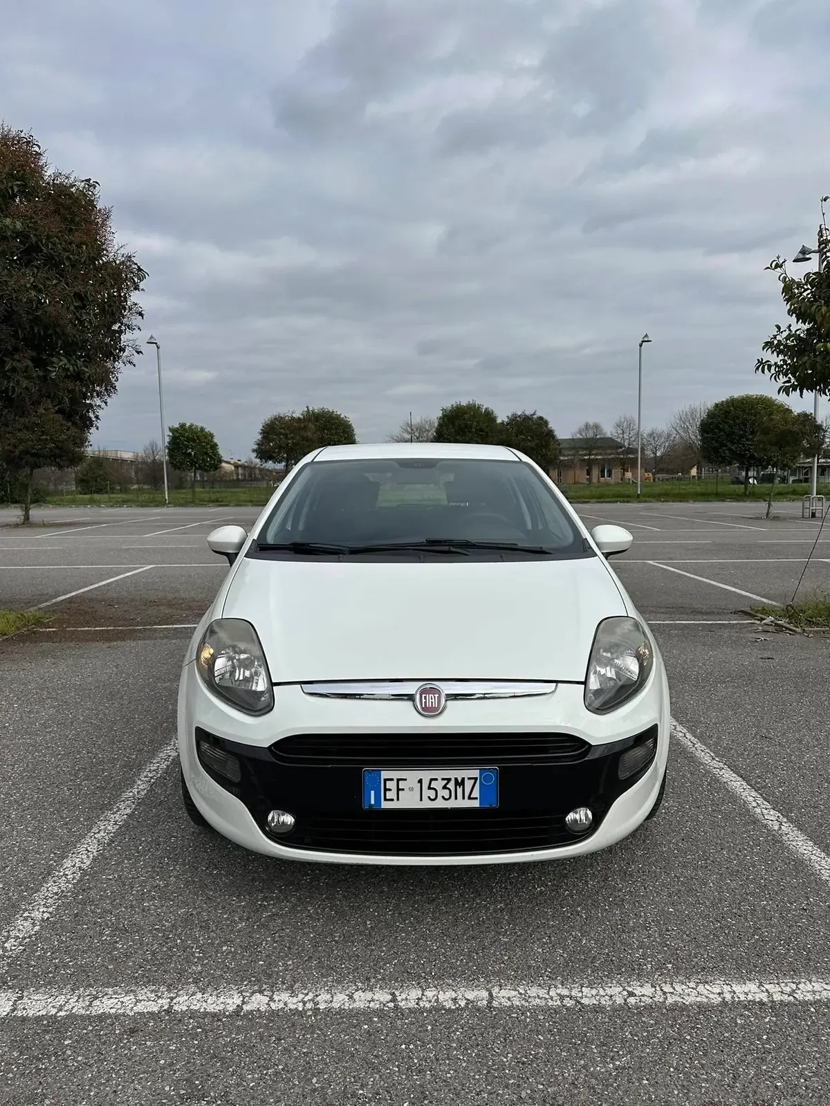 Fiat Punto Evo 1.2 5 porte Dynamic, foto 8 di 11