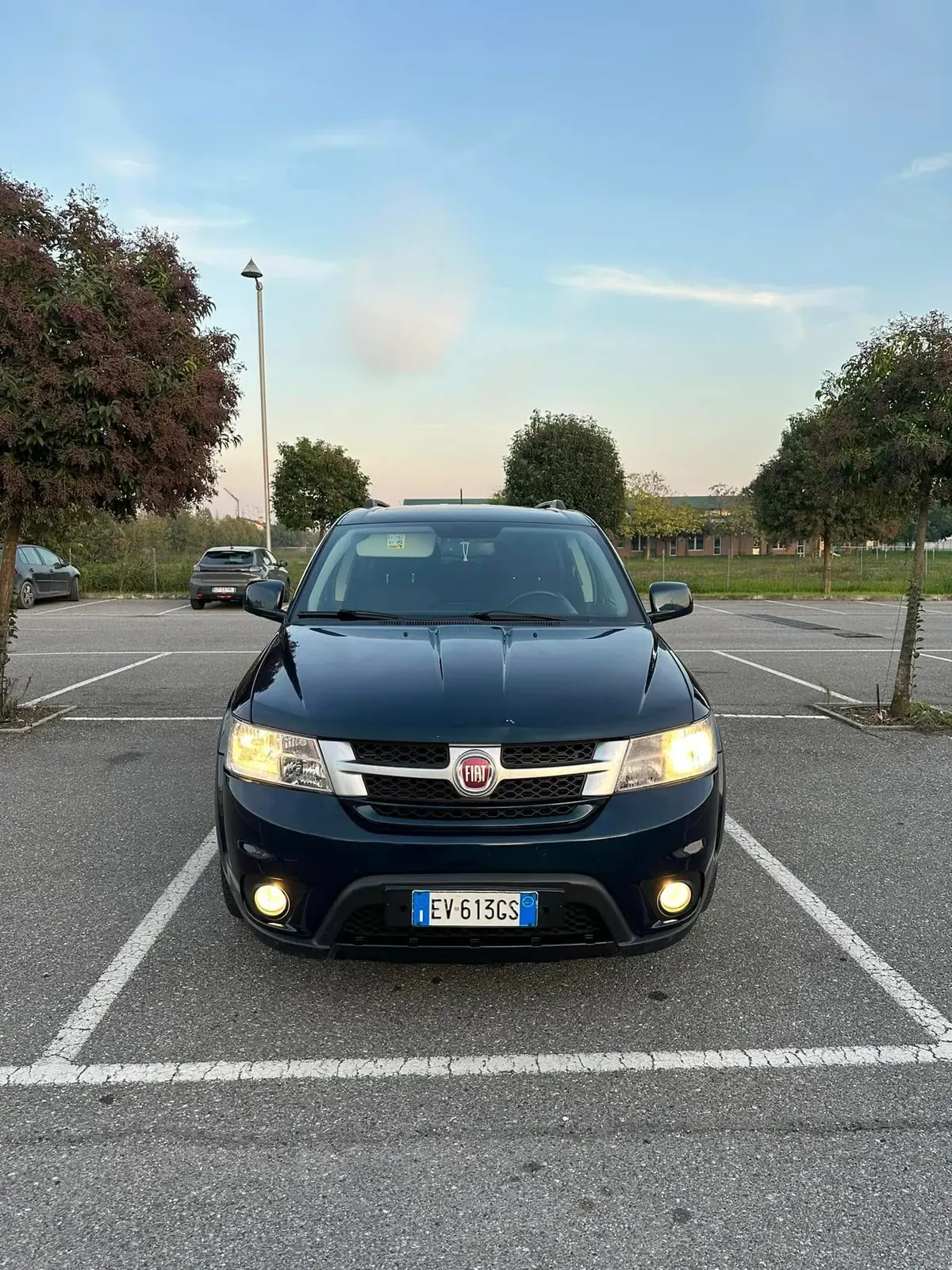 Fiat Freemont 2.0 Multijet 140 CV Cross, foto 8 di 11