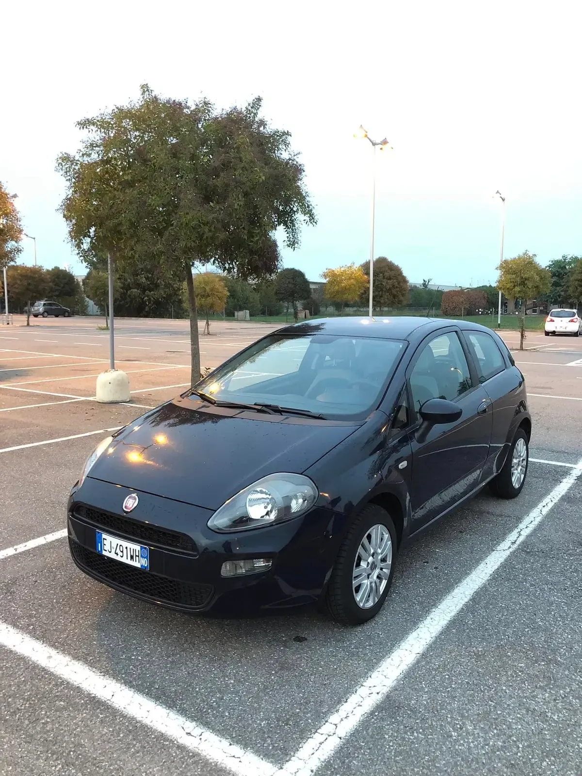 Fiat Punto 1.2 Easy, foto 8 di 8